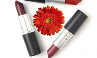 博成化妝品 產(chǎn)品展示與店鋪裝修的系統(tǒng)化計算機(jī)解決方案